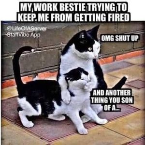 Meet your Posher, Krystal